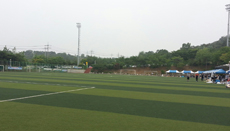 인조잔디구장 전경